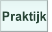 Praktijk.